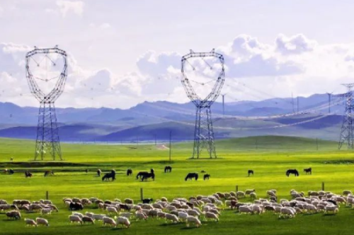 喜報 | 九洲集團子公司沈陽昊誠電氣中標內蒙古電力（集團）兩包環網柜和箱變合同